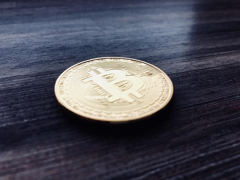 马斯克回归特斯拉、减少DOGE工作！TSLA与狗狗币双双暴涨